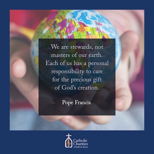Pope Francis on Creation